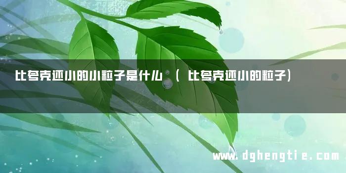 比夸克还小的小粒子是什么 (比夸克还小的粒子)